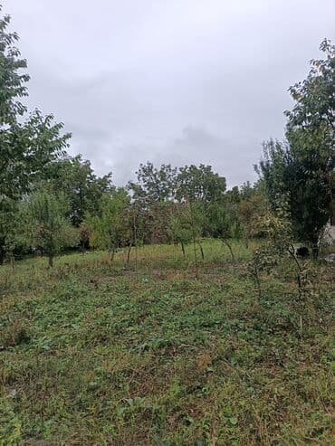 gence şeheri: 22 sot, Kənd təsərrüfatı, Mülkiyyətçi, Kupça (Çıxarış) — 2