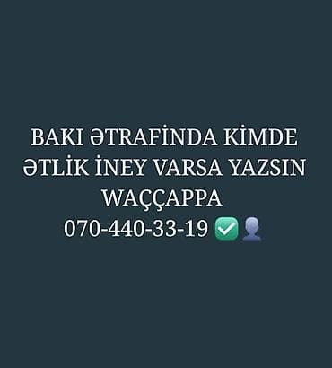 Elan: Bakı və ətraf ərazilərdə ətlik inək axtarılır. - Tələblər -