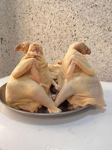 kənd məhsulları: Kənd toyuğu Toyuq Bütöv, Pərakəndə, Ödənişli çatdırılma — 6