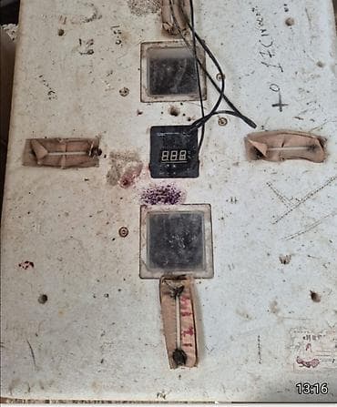 quş yuvası: Bütün növ quşlaq üçün — 2