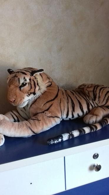 Yaxşı veziyyetdedir