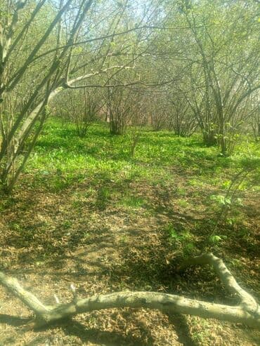 baki hovuzlu evler: 35 sot, Makler, Bələdiyyə — 5