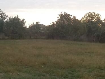 дом в баку: 24 соток, Для строительства, Собственник, Техпаспорт — 3