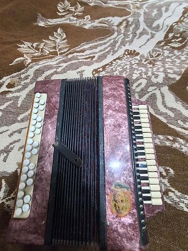9 may konsert: Akustik Akkordeon, İşlənmiş, Ünvandan götürmə — 5