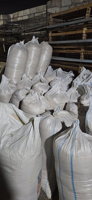 enzo шампунь отзывы: Apilka,yonqar satilir — 3