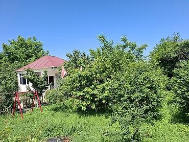 sotka: Bağ evi – yaşıllıq içində rahat məkan - Geniş, meyvə ağacları ilə — 1