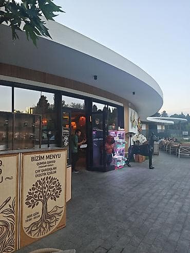 Ofisiant tələb olunur, Kafe, Aylıq ödəniş, İstənilən yaş, Təcrübəsiz