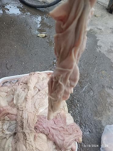 Quzu qurşağı yeni sıradan ədədi 80 qəpik yuyulub təmizdir kim isdese — 2