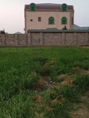 qaracuxurda kiraye evler 2020: 8 sot, Tikinti, Mülkiyyətçi, Kupça (Çıxarış) — 3