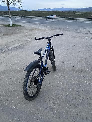 velosiped 24: Heç bir problemi yoxdur. Real alıcıya endirim olunacaq — 5