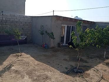 şamaxı a frame evlər: Təsvir: - Həyət evi. Hündür daş hasarla çevrələnmiş, geniş torpaq — 4