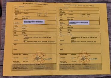 it ucun et: 3 il, Erkek, Sənədli, Ödənişli çatdırılma — 3