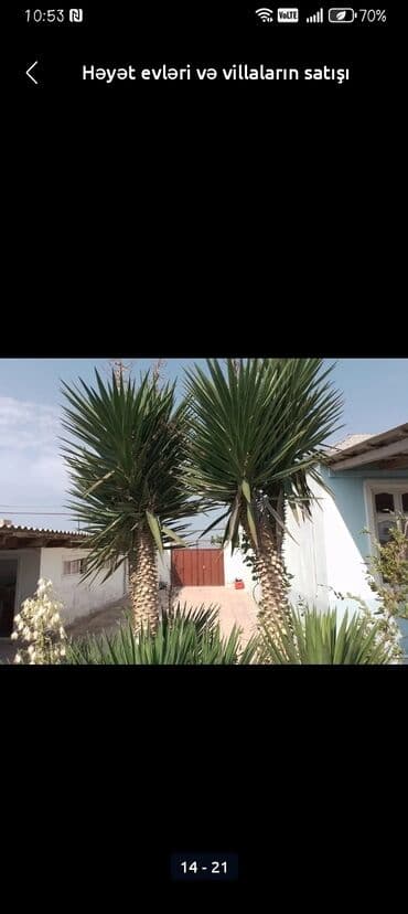 6 otaqlı, 150 kv. m, Kredit yoxdur, Orta təmir — 14