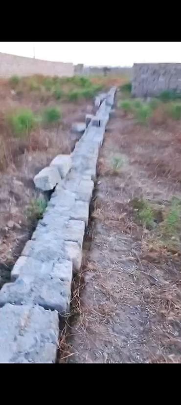 lan: Tikinti, Kupça (Çıxarış) — 1