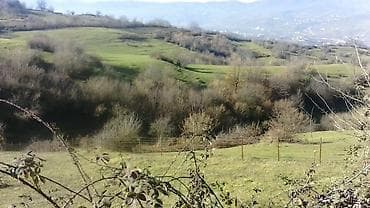 qara torpaq satışı: 92 sot, Kənd təsərrüfatı, Mülkiyyətçi, Kupça (Çıxarış) — 1