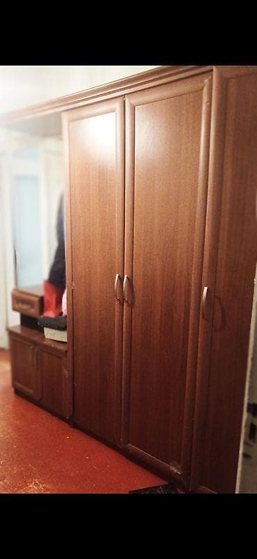 Ev üçün mebel: Dəhliz dolabları — 2