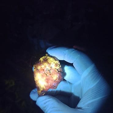 ucuz gitara satisi: UV Parlayan Təbii Daş Satılır – Kolleksiya üçün Nadir Kristal 💎 — 7