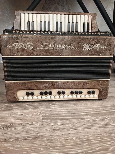 Akustik Akkordeon, İşlənmiş — 4