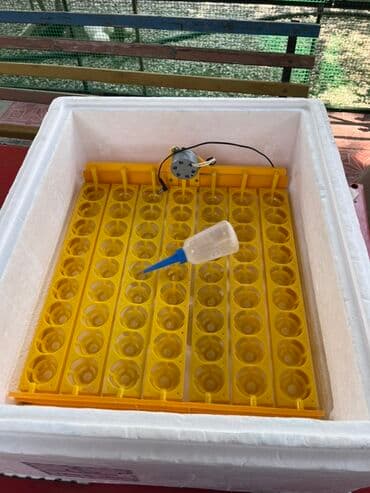 капсульная кофемашина баку: Salam, 63 ədəd yumurtalıq inqubator. Polnu avtomatdır. Yumurtanı özü — 5