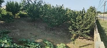 35,000: Kənd təsərrüfatı — 6