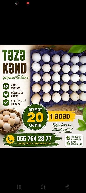 Təzə kənd yumurtaları - Təbii məhsul - Gündəlik yığım - Keyfiyyətli lalafo.az -da Təzə kənd yumurtaları - Təbii məhsul - Gündəlik yığım - Keyfiyyətli
