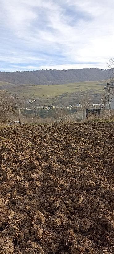 kohnə suraxanı: Kənd təsərrüfatı — 7