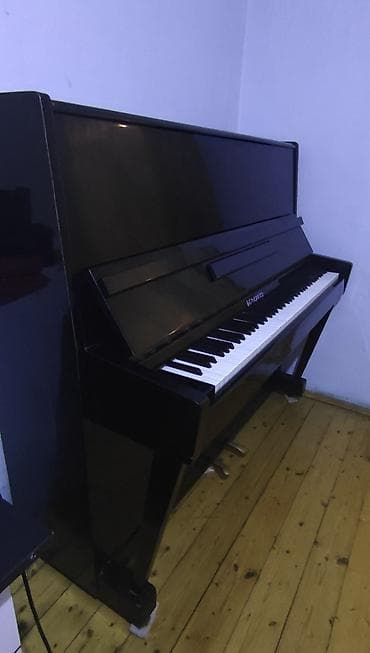 elektron gitara satisi: Piano, Belarus, Akustik — 3