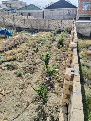 участок в деревне: 4 соток, Купчая — 5