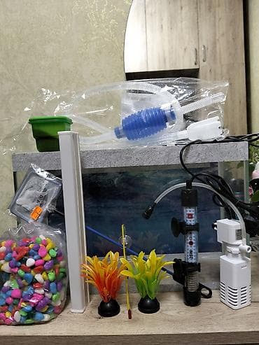 Akvaryum üçün tam set Komplektə daxildir: - Şüşə akvaryum (fon
