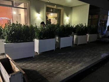 dekorativ otaq bitkiləri: Bu taxda dipçekin ölçusu 100x30x55 Bu standart alinan ölçudur — 11