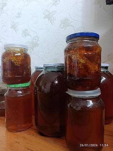 karpat ana arı: Tam təbii bal Dağ və meşə balı var Şəki balıdır Şabalıd cökə — 4