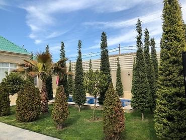 Mərdəkan qəsəbəsində bağ evi kirayə verilir. Torpaq sahəsi 6 sotdur — 3
