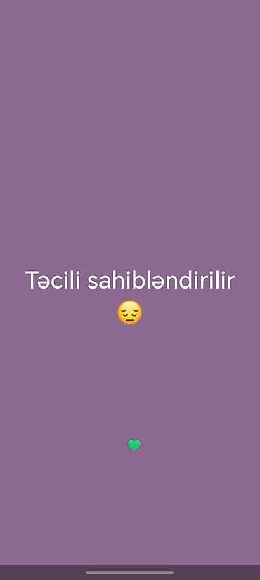 şotland pişik satışı: Şotland, Yaxşı əllərə — 2