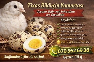 Tixas bildirçin yumurtası Xüsusiyyətlər: - Zəngin protein və vitamin