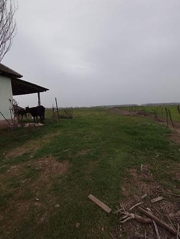 torpaq yeri: 500 sot, Kənd təsərrüfatı, Mülkiyyətçi, Kupça (Çıxarış), Bələdiyyə — 8