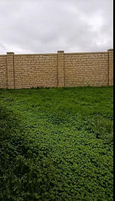 Для сельского хозяйства — 2