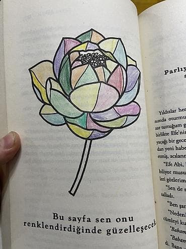 Художественная литература: Məhsul: Beyza Alkoç kitab seti Təmizdi sadecə bir vərəqindəki gül — 2