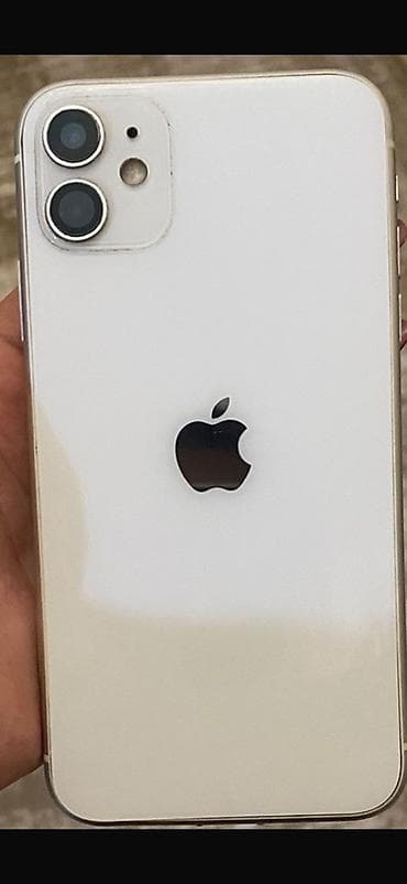 IPhone 11, Ağ