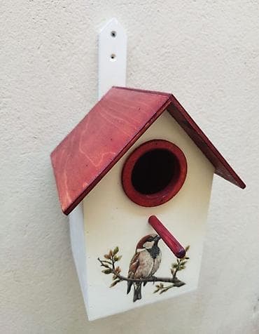 derzi qusu: Quş yuvası Sağlam və uzunömürlü ekoloji təmiz . Səliqəli və zövqlü — 8