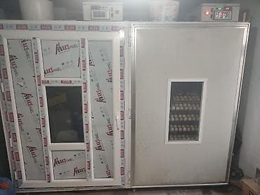 inkubator kreditle: Bütün növ quşlaq üçün — 3