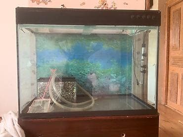 Akvarium aksessuar və ləvazimatları: Bu akvaryum, 8 lik şüşə konstruksiyası və qəhvəyi rəngli alt hissəsi — 2