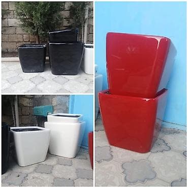 10 ədəd iri gül əkmək üçün qab satılır. 1 ədədi 120 MANAT. Ünvan