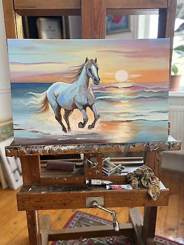 🌅 Azadlığın rəngləri… 🐎 Gün batımının sakitliyi və azadlığın simvolu