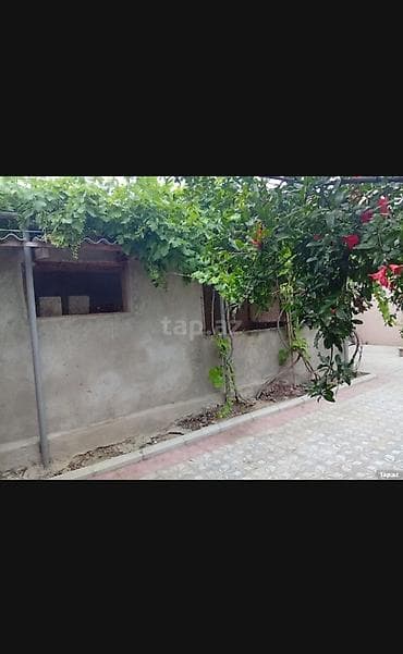 Bağ evləri: Zabrat 3 otaqlı, 100 kv. m, Kredit yoxdur, Orta təmir — 3