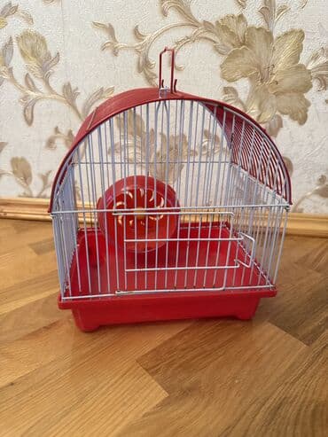 Digər heyvanlar: Digər quşlar — 1