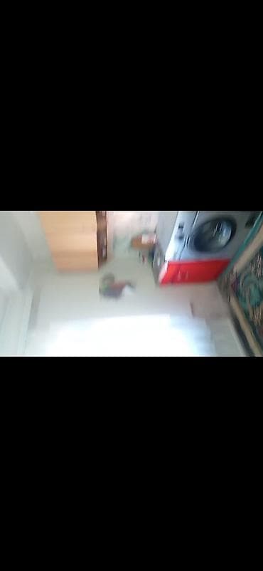 xutorda satilan evler: Həyət evi Satılır Sumqayıt BTZ bagları gedir bura 45.000 Aşagı yeri — 7