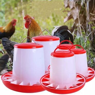 cuce yemleri: Yem qabi Toyuqlar üçün avtomatik yem qabi Dən qabi 🐥🐔🦆🐧🐣🐤 Toyuq — 1