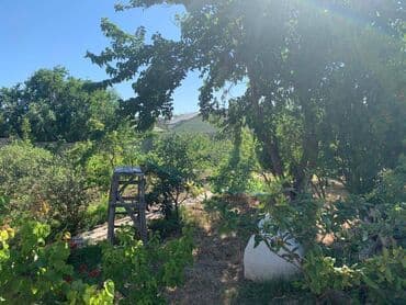 kiraye bag evleri bilgeh: Novxanı, 300 kv. m, 5 otaqlı — 26