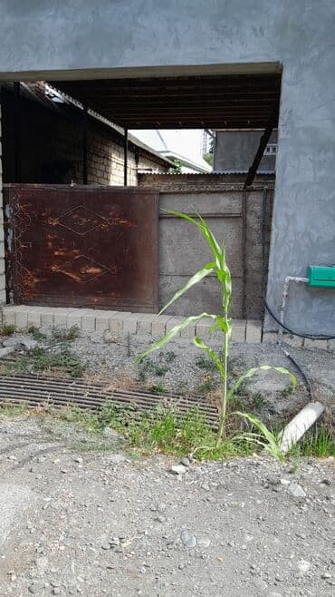 аренда ресторан: Qaraj/qapasi — 1