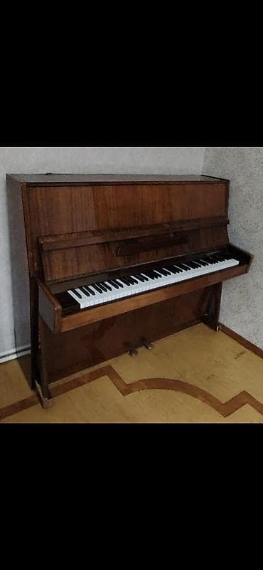 Velosipedlər: (Pianino) yaxwi vezziyetde seliqeli islenib prablemi yoxdur qiymet 200 — 1